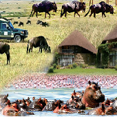 肯尼亞激情狂野Safari奇妙之旅8天游-逢周六出發