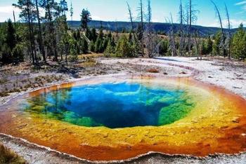 Las Vegas+ Yellowstone National Park +Salt Lake City 6-day Tour