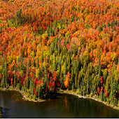 6DAY CANADA EAST MONT TREMBLANT FALL FOLIAGE TOUR
