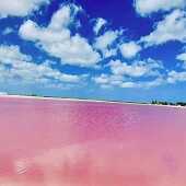 Must-see Cancun Spots - Las Coloradas Pink Lake, Chichen Itza, Cenote | 6-Day Tour