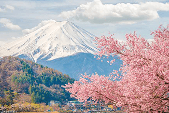 Japan Honshu Island丨Tokyo+Kamakura+Mount Fuji+Kyoto+Nara+Osaka 7 Days 6 Nights Tour