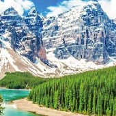 Vancouver+ Kamloops+ ColumbiaIce Icefield+ Banff National Park+ Kelowna+ Victoria 7-day Tour (Check in Banff Town Hotel for one night)