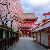 Tokyo Free Day + Kamakura + Mount Fuji + Kyoto + Nara + Osaka 9 Days 7 Nights Tour