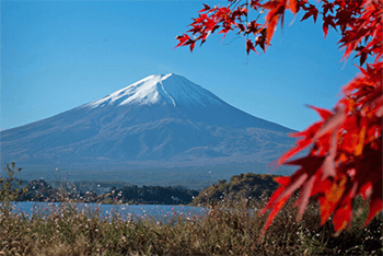 Japan Honshu Island丨Tokyo Free Day + Kamakura + Mount Fuji + Kyoto + Nara + Osaka 8 Days 7 Nights Tour