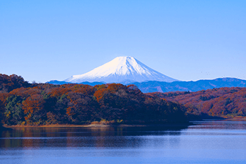 Japan | Tokyo + Fuji + Kyoto + Nara + Osaka + Honshu 6-Day 5-Night Tour