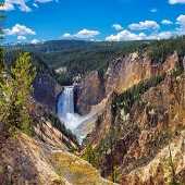 Grand Teton National Park+ Yellowstone National Park+ Mount Rushmore+ Crazy Hors+ Salt Lake City 5-day Tour