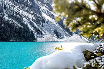 Vancouver+ Victoria+ Banff National Park+ Johnston Canyon+ Johnston Canyon+ Lake Louise+ Calgary 6-Day Tour