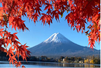 Japan/Korea Kanto,Kansai,Seoul,Gangwon-do 11 Days Tour