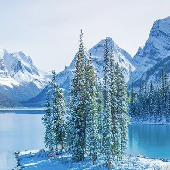 Calgary+Rocky Mountains+ Tofino 7-day Tour (Check in at the Banff Town Hotel for two nights, one-day Banff free day)