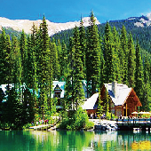 Vancouver+ Kamloops+ ColumbiaIce Icefield+ Banff National Park+ Kelowna+ Tofino+ Nanaimo 8-day Tour (Check in Banff Town Hotel for one night)