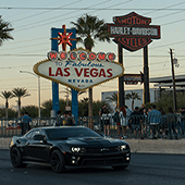 Las Vegas+ Zion National Park+ Bryce Canyon National Park+ Lower Antelope Canyon+ Horseshoe Bend+ San Francisco+ Yosemite National Park+ Los Angeles Free Day 8-Day Tour(Package A) -2024
