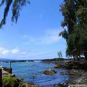 Vacation Package丨America Hawaii Oahu+ Hawaii Isalnd 5-Day Tour-2023