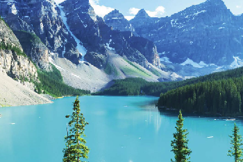 Vancouver Airport Pickup + Great Bear Rainforest Exploration 6-Day Tour