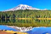 Seattle+Mount Rainier National Park 3-Day Tour