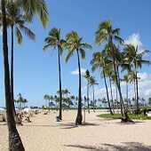 4 Days Hawaii 1 Island Tour-2023