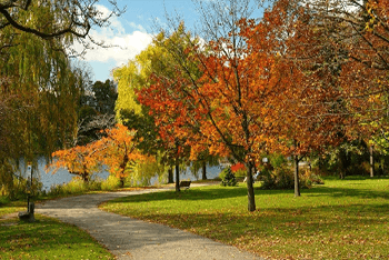 America & Canada Niagara Falls+ Toronto+ Ottawa+ Montreal+ Quebec City 5-Day Maple Foliage Tour