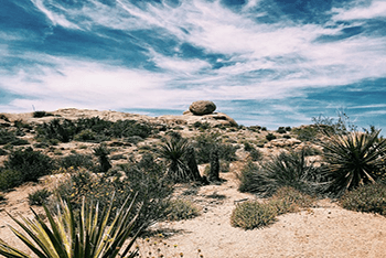 Los Angeles+ Phoenix+ Albuquerque+ Sedona+ Las Vegas+ Death Valley+ San Francisco+ 17 Miles+ Yosemite National Park 11-Day Tour