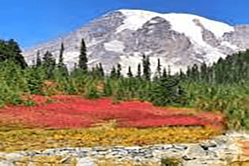 Olympic National Park+Leavenworth+Mount Rainier National Park 3-Day Tour-2024