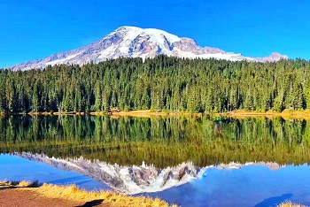 Seattle+ Olympic National Park+ Mount Rainier National Park 3-Day Tour -2024