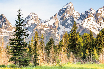 San Francisco+ Lake Tahoe + Yellowstone National Park +Grand Teton National Park +Lower Antelope Canyon +Grand Canyon National Park +Las Vegas 7-day Tour-2024