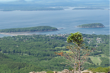 Boston+ Portland+ Acadia National Park 3-Day Tour