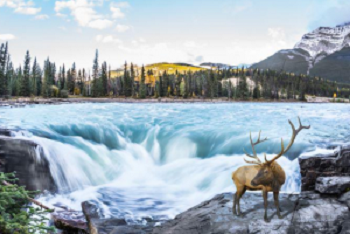 7/8 Days Sparkling Canadian Rockies-2024