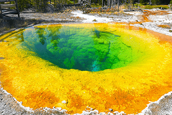 Los Angeles+ Las Vegas+ Lower Antelope Canyon+ Grand Teton National Park+ Yellowstone National Park+ Mount Rushmore+ Crazy Horse+ Salt Lake City 7-day Tour-2024