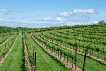 10 Days Grand Tour of Enchanting Southern France -2024