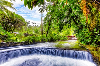 Costa Rica San José+ Poas Volcano National Park+ Hot Springs +Free day 5-Day Tour -2024