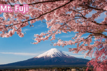 日本北海道央道5日遊