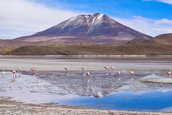 Bolivia+ La Paz+ Uyuni 6 Days 5 Nights Tour|2024