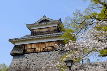 8 Days Japan Kyushu Circle Island Tour -2024