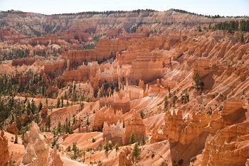 Los Angeles+ San Francisco+ Redwood National and State Parks+ Crater Lake national park+ Mt. Rainier National Park+ Seattle+ Amtrak Coast Starlight 10-day Tour -2024