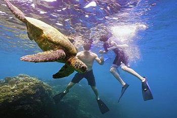 7-Day Hawaii 3-Island Ultimate Tour-2024