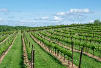 10 Days Grand Tour of Enchanting Southern France -2024