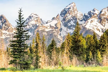 San Francisco+ Lake Tahoe + Yellowstone National Park +Grand Teton National Park +Lower Antelope Canyon +Grand Canyon National Park +Las Vegas 7-day Tour-2024