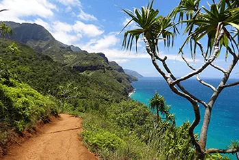 5天夏威夷一島之旅-2024